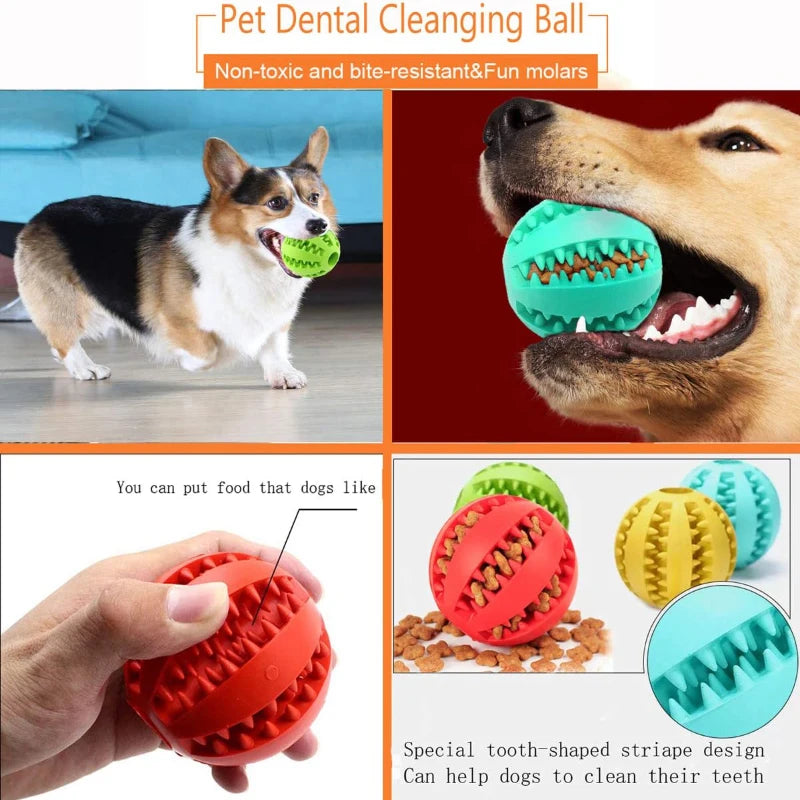 Interactive Rubber Dog Toy Ball & Feeder