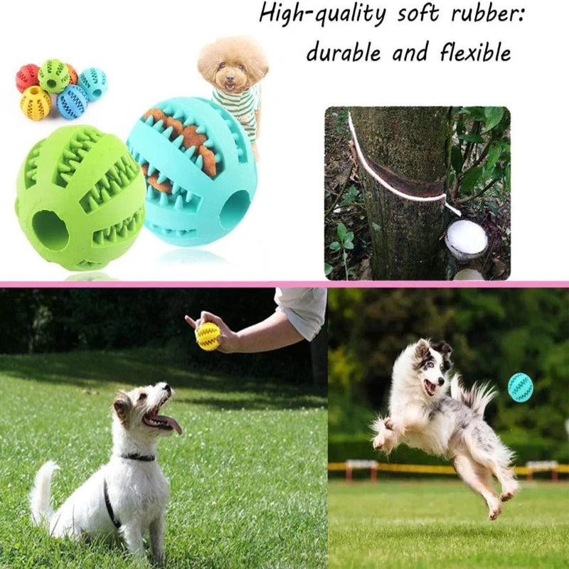 Interactive Rubber Dog Toy Ball & Feeder