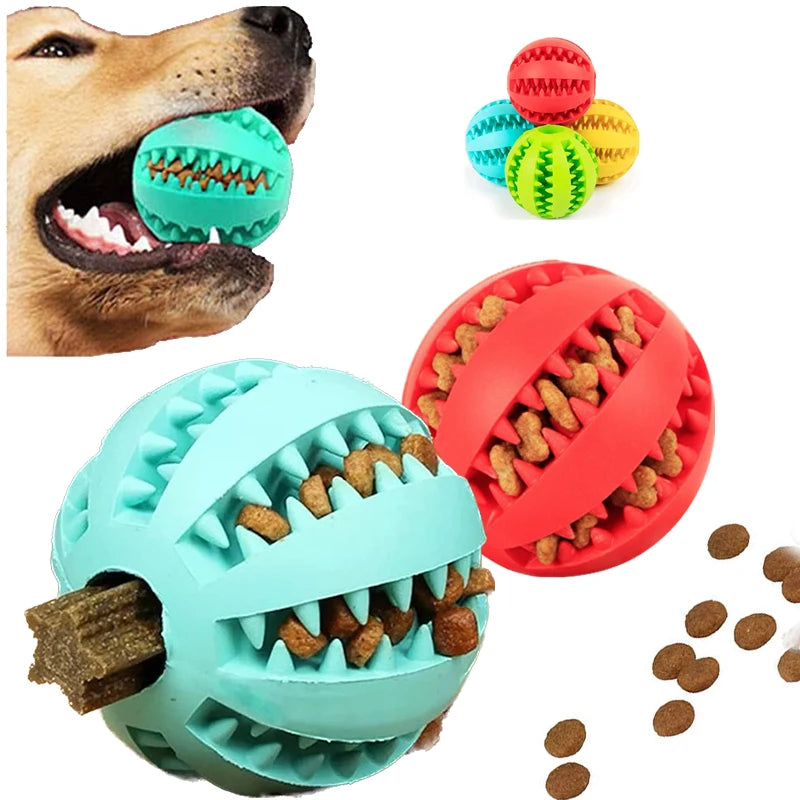 Interactive Rubber Dog Toy Ball & Feeder