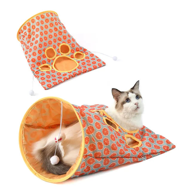 Paper Tunnels and Teasing Cat Toys